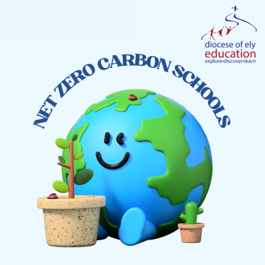 Net Zero Carbon for Schools