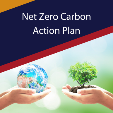 NZC Action plan.png