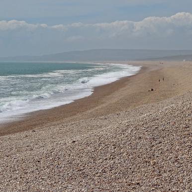 shingle beach.jpg