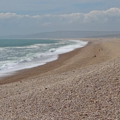 shingle beach.jpg