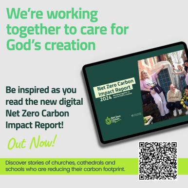 net zero impact report