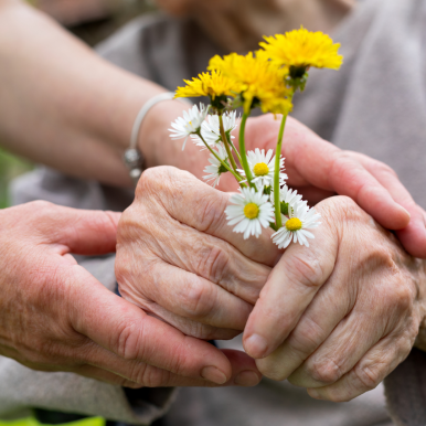 hands with daisies.png