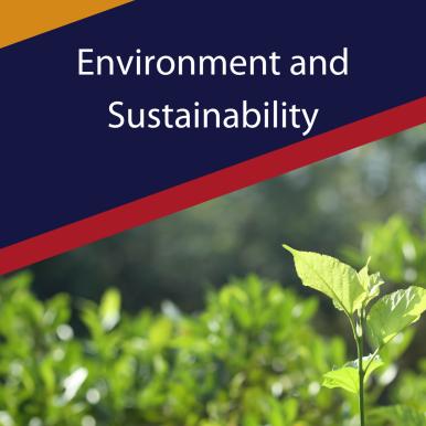 environment and sustainability